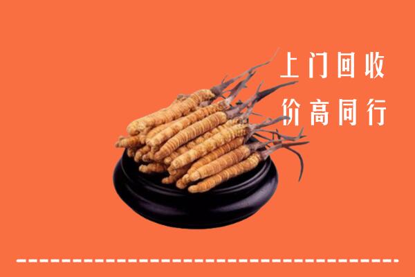 附近收购：仙居县冬虫夏草回收多少钱每克